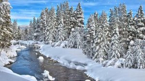 Фон осень/зима - предзимье. Лес, река, вода, снег, деревья - футаж для видео монтажа зимний фон