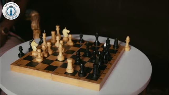 Шахматы для начинающих - в чем польза шахмат?