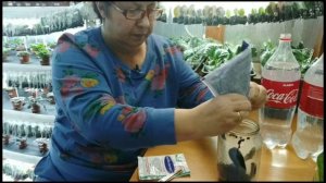 Фитоспорин паста для фиалок