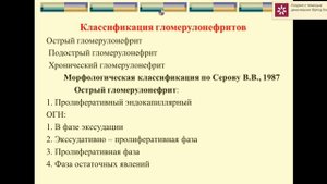 Хронический пиелонефрит. Гломерулонефриты. ХПН