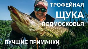 Трофейная щука в Подмосковье. Выбор лучшей приманки для малых рек