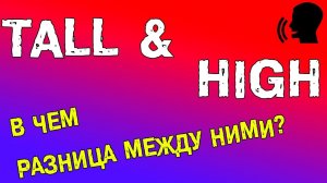 Разница между TALL и HIGH. Прилагательные в английском языке.