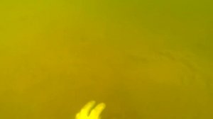 Ловля раков в Подмосковье.