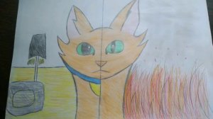 Мои вещи,Коты Воители.