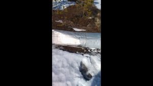 #Весна#ЯМАЛ#Охота на гуся2023.mp4