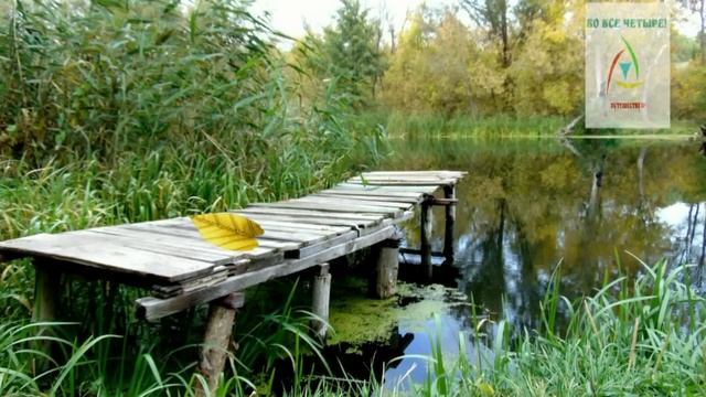 Ріка Сіверський Донець. Чугуїв (Харківська область, Україна) смотреть онлайн