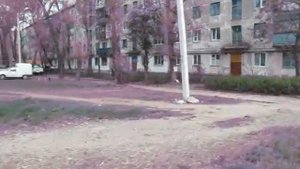 Украина-2012. 23.04.2012. Стаханов.