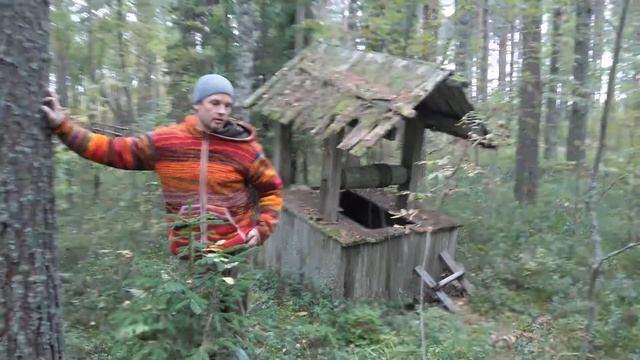 Защита Природы  - вымысел или профанация? Что защищают настоящие экологи?