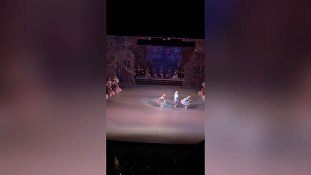 Балет «Щелкунчик» на сцене Мариинского театра смотреть онлайн