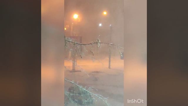Самарская область город Тольятти.