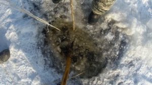Суровая зимняя рыбалка сетями. Как поставить сети под лёд