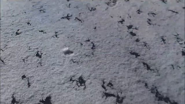 Копановка 17 01 2022