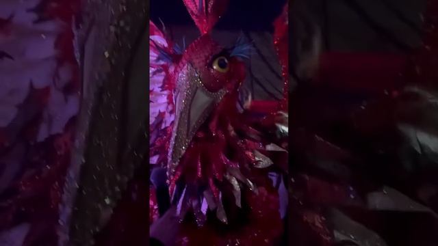 Бэкстейдж от Феникса - Виктории Дайнеко ?️? смотреть онлайн