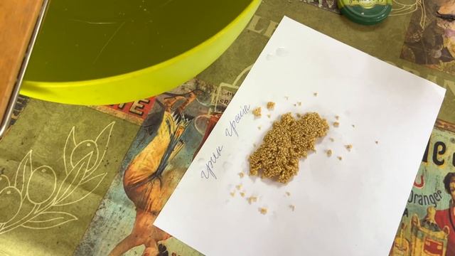 Дачный сезон заканчивается. Самое главное всё это сохранить . Мои практичные советы смотреть онлайн