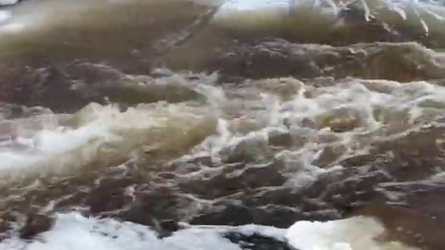 Койриноя зимой смотреть онлайн