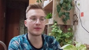 Эпипремнум золотистый. Это растение знает каждый! Неприхотливое и красивое комнатное растение.