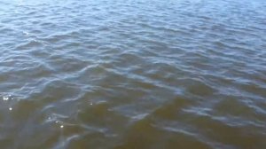 Рыбалка в Николаеве. Прогулка на Каботаж.