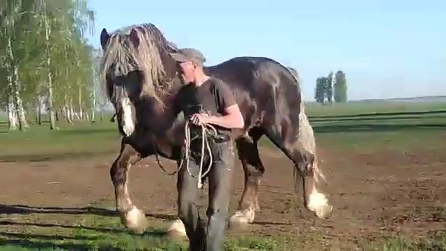 Запас .Советский тяжеловоз. Продан! смотреть онлайн