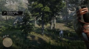 Red Dead Redemption 2 - ищем самовзводный револьвер и каменный топор!