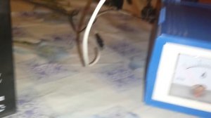 Зарядка АКБ для детской машинки