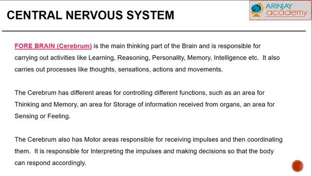 Central Nervous System - Control and Coordination in Animals -  (Biology Class 10)