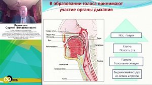 Рязанцев С.В. СПб НИИ ЛОР. Местное лечение острого риносинусита в эпоху COVID-19.