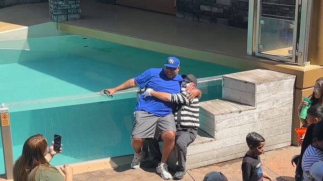 Laugh with Tom the Mime at Seaworld Orlando смотреть онлайн