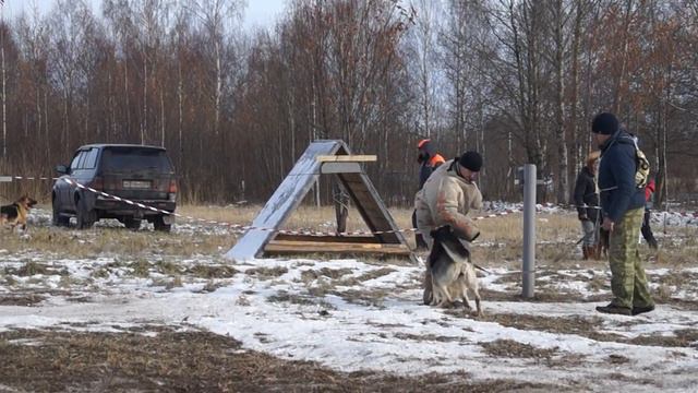 КУБОК ХЕЛЬХАУСА г.Торжок ВЕО Ласко Эль Вассаби толпа смотреть онлайн