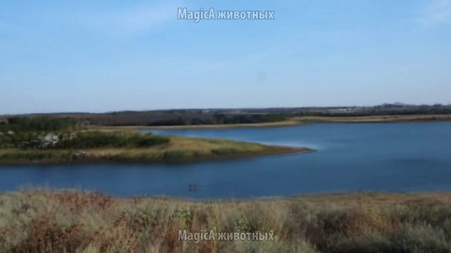 Гармония с природой