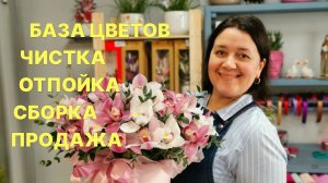 Неделя флориста | Как я ставлю цветы в холодильник и многое другое!