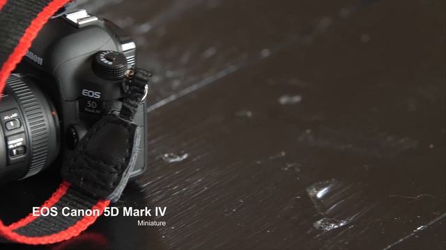 EOS 5D Mark IV + Canon Bear + EOS Canon 1D Mark III Miniature UNBOXING 4K смотреть онлайн