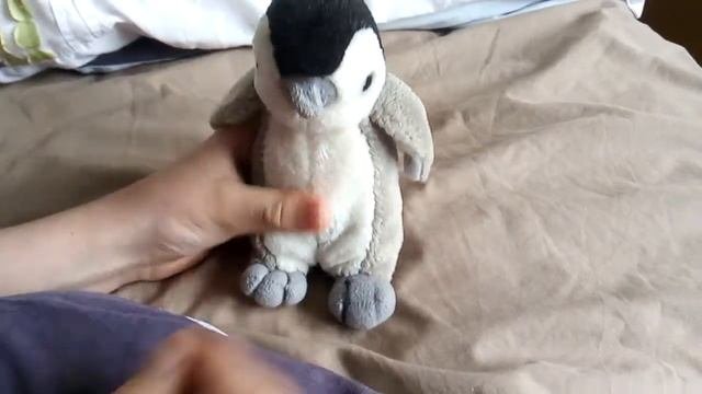 Teddy Education | Pen Teaches Why Penguins Walk How They Walk