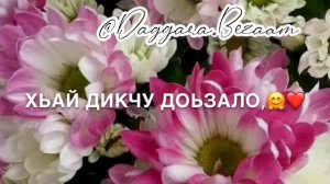 Нана, Дала декъал йойла хьо