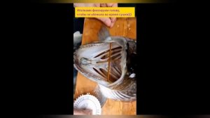 Как сделать чучело!!! Моя коллекция голов рыб!!!