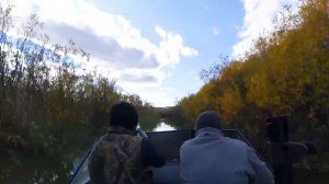 Охота на селенге