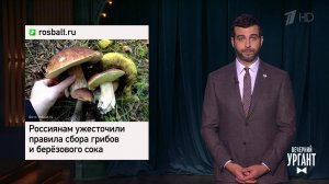 Новые правила сбора грибов и ягод. Гнойный идет в ...Вечерний Ургант. Фрагмент выпуска от 12.05.2021