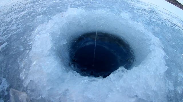 #17 Попали на хороший клев. Первый лед. Белоярское водохранилище 2017-2018 г. смотреть онлайн