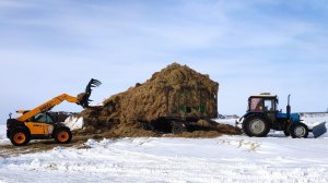 МТЗ 892.2 птс 12. Погрузчик DIECI.  5  КАМАЗОВ. Погрузка зерна!  (Сезон 2021)