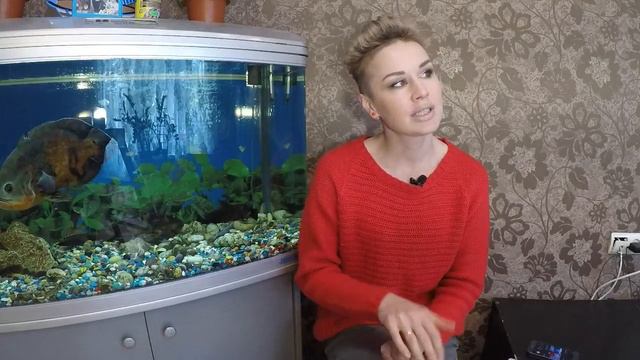 РАССАДА ДЛЯ ПРОДАЖИ. КАК ЭТО БЫЛО 2018 СЕЗОН. смотреть онлайн