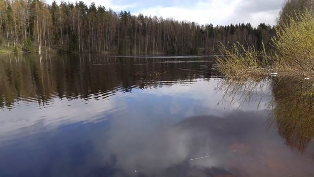 Волшебное течение весенней Реки Шуя Карелия 27.05.17 смотреть онлайн