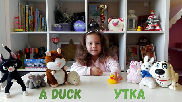 Английский язык для самых маленьких/Обучающее видео для малышей/Животные
