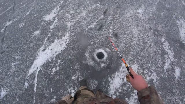 ПОИСК РЫБНЫХ МЕСТ В ЛИПЕЦКОЙ ОБЛАСТИ!/ЗИМНЯЯ РЫБАЛКА 2020. смотреть онлайн