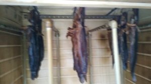 Первый запуск электростатической коптильни