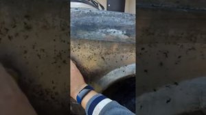 Как легко и быстро убрать ржавчину с кузова авто