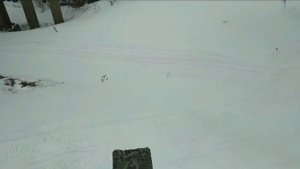 Самодельный снегоход на гусенице в движении