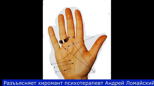 Хиромантия. Разъяснения и иллюстрации.Хиромант Андрей Ломайский.Линия судьбы - прямая, выразительна