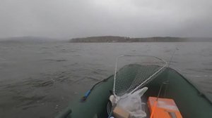 ЗАКРЫТИЕ РЫБАЛКИ ТРОЛЛИНГОМ НА ВОЛЧИХЕ  Gismeteo иногда ошибается