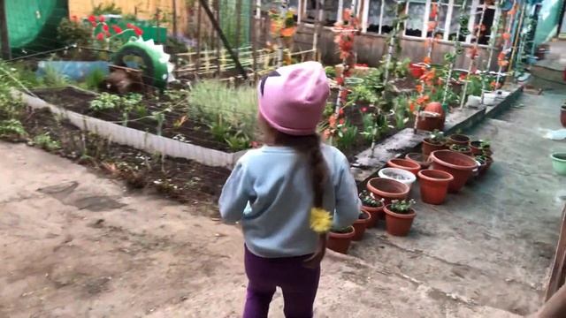 Нашли дохлого шмеля. Лера показывает деревенский огород и собирается ехать домой. смотреть онлайн