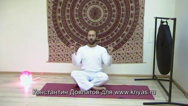 Крия "Первичная настройка мозга" от Константина Довлатова