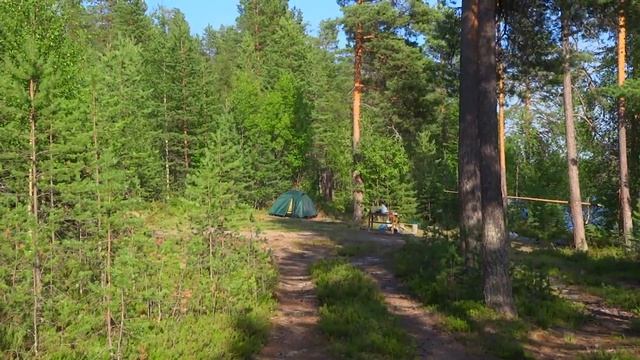 Карелия 2022. Поход на байдарке. Река Кузема от Нижнего Кумозера